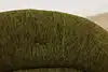 Thumbnail image 15