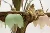 Thumbnail image 19
