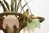 Thumbnail image 22