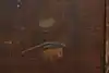 Thumbnail image 15