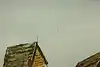 Thumbnail image 10
