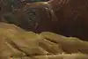 Thumbnail image 10