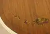 Thumbnail image 20