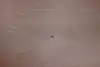 Thumbnail image 31