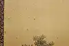 Thumbnail image 11