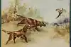 Thumbnail image 1