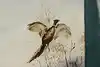 Thumbnail image 8