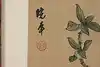 Thumbnail image 7