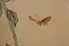 Thumbnail image 6