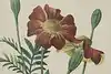 Thumbnail image 8