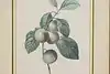 Thumbnail image 3