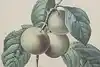 Thumbnail image 6