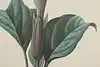 Thumbnail image 7