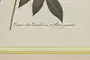 Thumbnail image 8