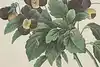 Thumbnail image 7