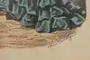 Thumbnail image 6