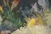 Thumbnail image 9