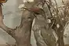 Thumbnail image 16