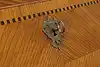 Thumbnail image 21