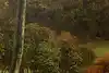 Thumbnail image 6