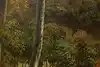 Thumbnail image 7