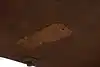 Thumbnail image 13