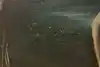 Thumbnail image 10