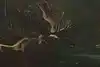 Thumbnail image 7