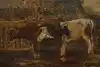 Thumbnail image 8