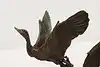 Thumbnail image 6