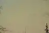 Thumbnail image 12