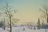 Thumbnail image 1