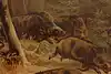 Thumbnail image 9