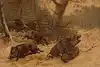 Thumbnail image 1
