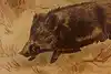Thumbnail image 7