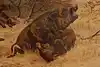 Thumbnail image 8