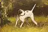 Thumbnail image 7