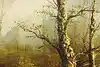 Thumbnail image 8