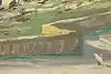 Thumbnail image 10