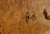 Thumbnail image 17
