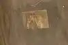 Thumbnail image 22