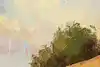 Thumbnail image 8