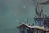 Thumbnail image 11