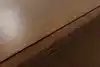 Thumbnail image 16