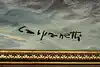 Thumbnail image 13