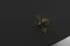 Thumbnail image 10