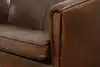Thumbnail image 22