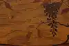 Thumbnail image 17