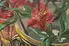 Thumbnail image 9