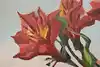 Thumbnail image 10